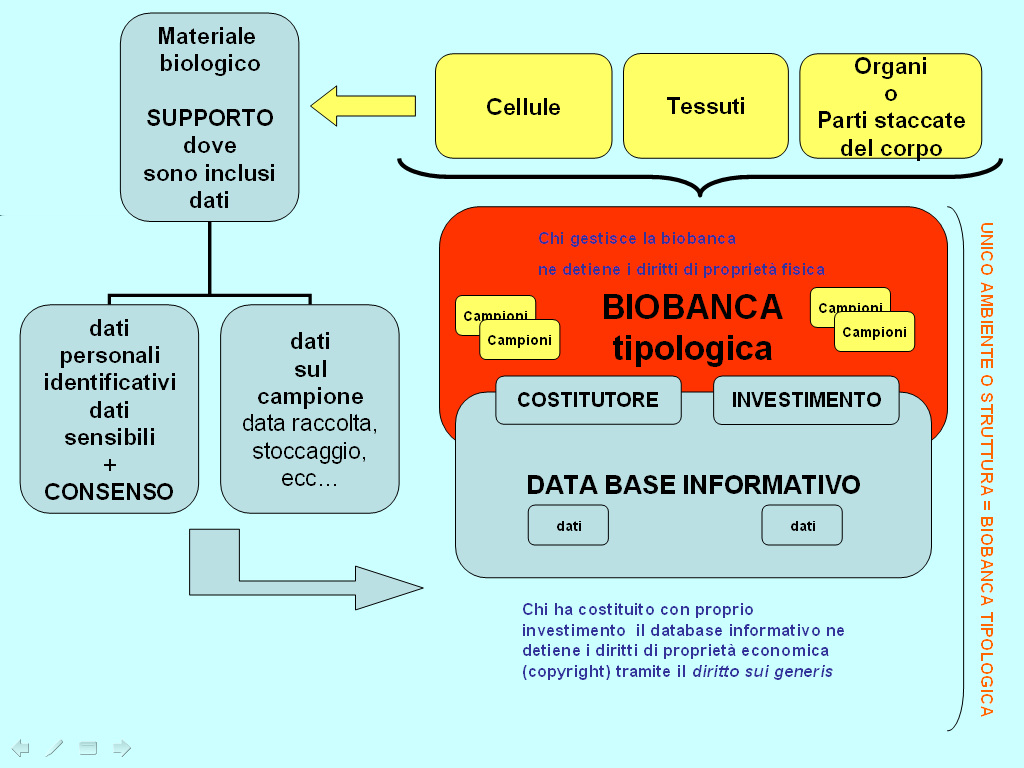 JLIS.it. Vol. 1, n. 2 (Dicembre/December 2010) Figura 3: Mappa concettuale 2: l assetto della proprietà fisica della biobanca e del database informativo.