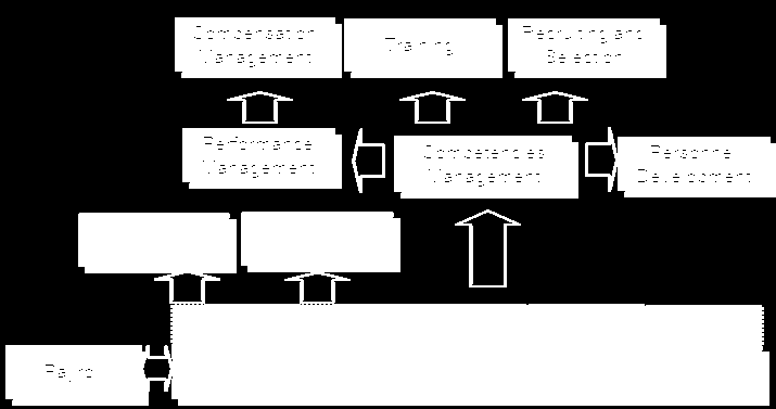 Contesto e obiettivi di progetto (2/5): schema di riferimento Fase 1 Definizione architettura del Modello Professionale e Job Evaluation Fase 2