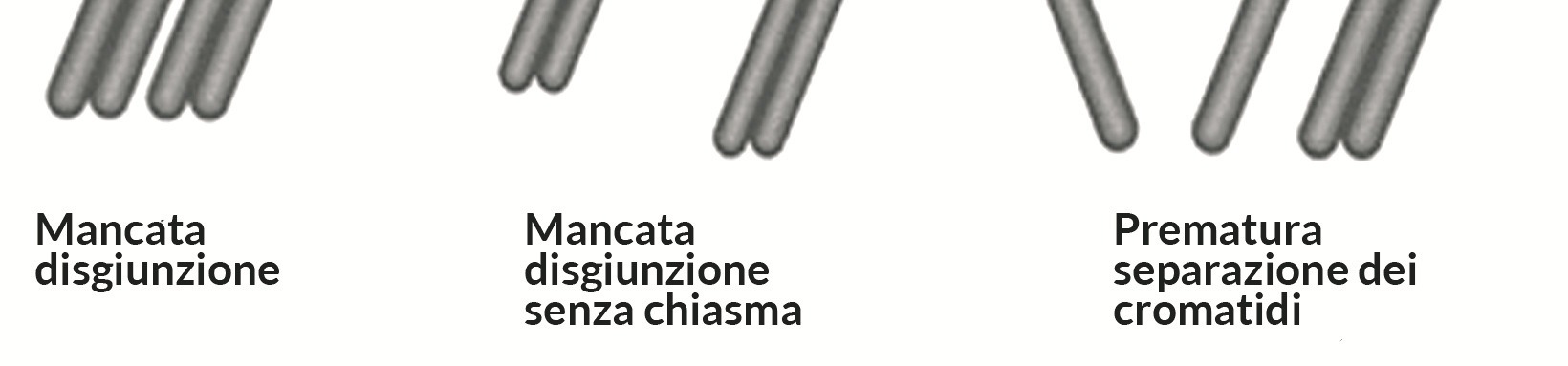 18. Nella donna meno giovane l ovulazione manca quando non ci sono più follicoli Frequenza e disturbi associati La frequente scelta di una sempre più tardiva ricerca del primo figlio rende oggi