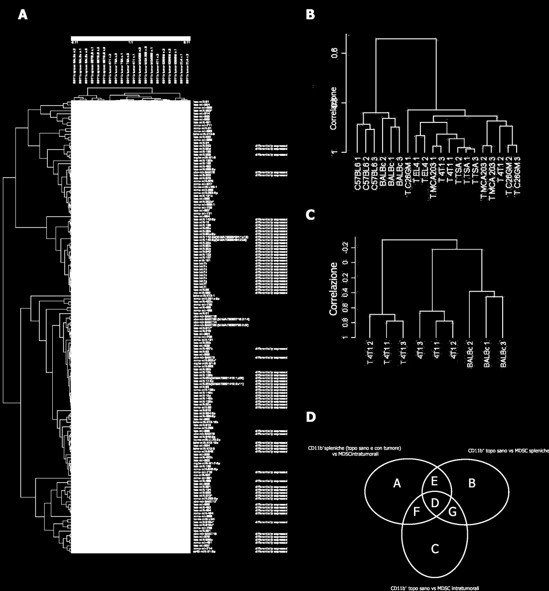 Figura 8. Il profilo di espressione dei mirna permette di distinguere cellule CD11b + prive di capacità immunosoppressive da MDSC spleniche o intratumorali.