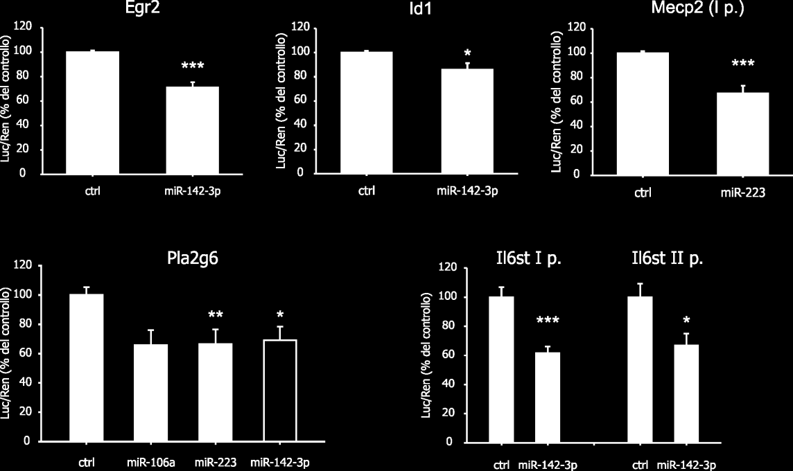 Tra le diverse combinazioni target-mirna finora testate, alcune interazioni si sono rivelate interessanti: il mir-142-3p, infatti, è in grado di inibire l espressione della luciferasi quando