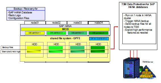 TSM for ERP supporto SAP HANA SAP HANA è un database in-memory (per consolidare i carichi di lavoro di tipo transazionale e analitico) Le funzionalità di TSM for ERP sono disponibili anche per SAP