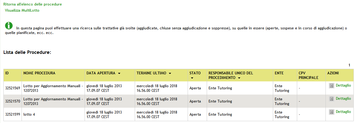 Figura 15 Dalla pagina contenente l elenco dei lotti e dal Dettaglio di questi è sempre possibile tornare alla Multilotto, cliccando sull apposito link, posto in alto a sinistra, Visualizza