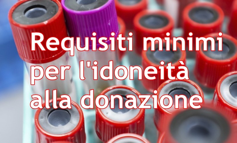 REQUISITI MINIMI PER L