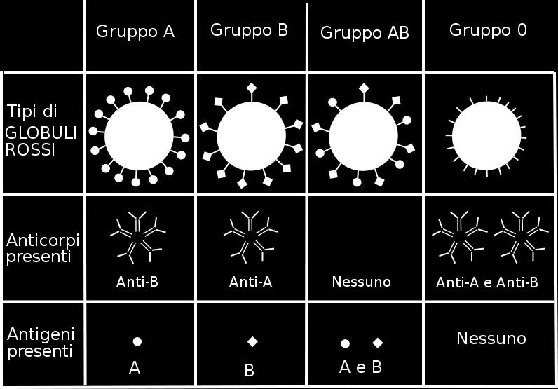 I globuli rossi di gruppo O possono essere trasfusi a tutti gli individui; specularmente il plasma di gruppo AB può essere ricevuto da qualsiasi