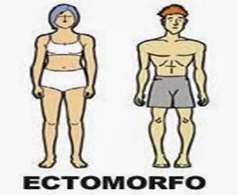 ECTOMORFO HARD GAINER TRONCO CORTO ARTI LUNGHI PETTORALE PIATTO LONGILINEI METABOLISMO ECCESSIVAMENTE VELOCE