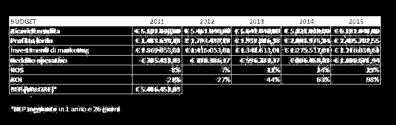 Il Budget ed il Mercato potenziale I risultati