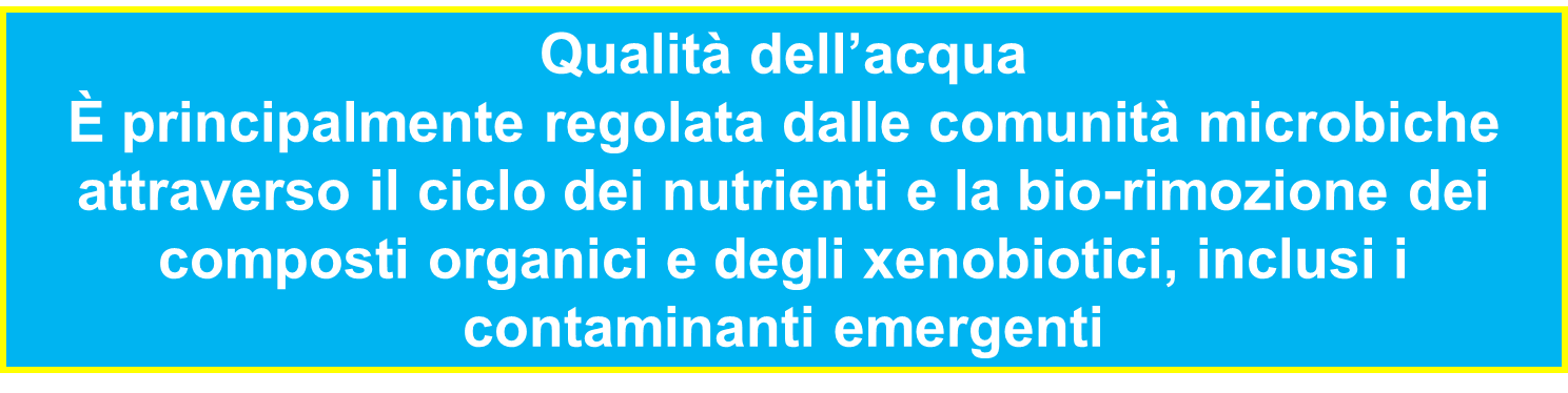 Bio-rimozione di residui organici e xenobiotici 8. Impollinazione 9. Controllo biologico 2. Mantenimento clima favorevole per ambiente, salute umana e coltivazioni 3.