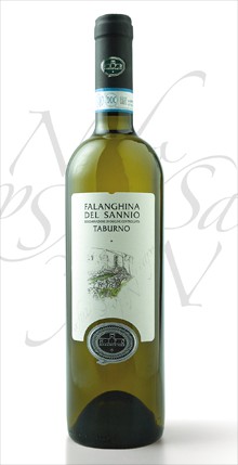 Campania Aglianico Kleos Paestum IGT Cantina Luigi Maffini Uvaggio: Aglianico 100% Caratteristiche organolettiche: olore rosso rubino con riflessi violacei.