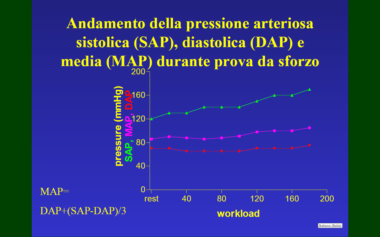 negli atleti di medio livello ciò è dato invece solo da un aumento della frazione di eiezione pertanto l'incremento della GS non è del 100% rispetto al valore iniziale, ma più basso (50-6070%).