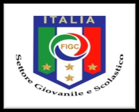 Regolamento Scuola Calcio 2013 / 2014 Scuola Sportiva