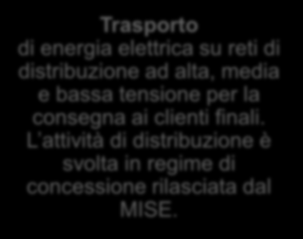 L attività di distribuzione è svolta in regime di concessione rilasciata dal MISE.