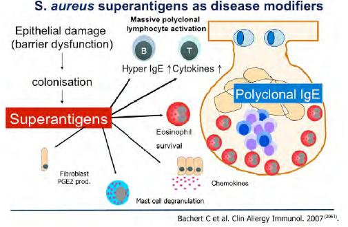 Ipotesi dei superantigeni di