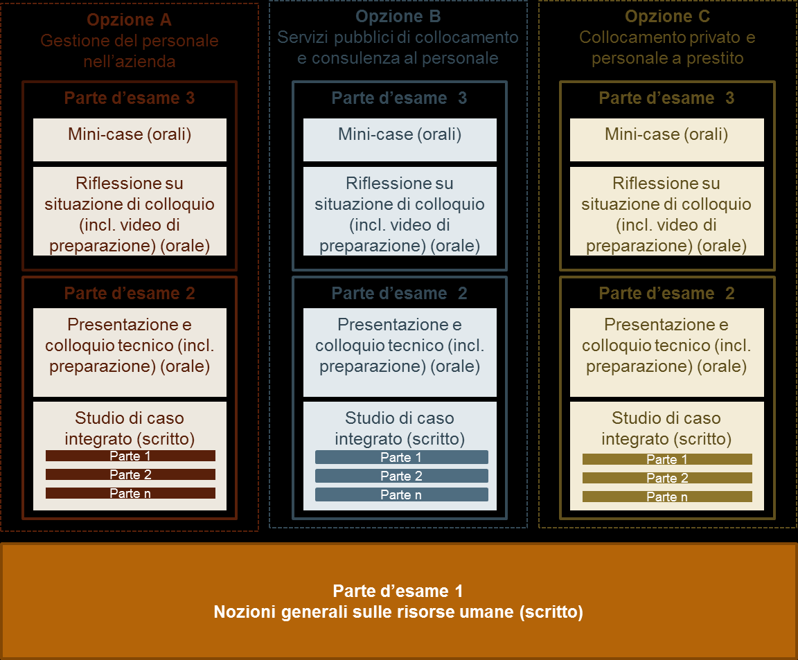 Concetto dell esame Conferenza