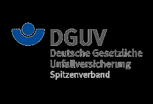 La Germania L assicurazione infortuni è gestita nei tre grandi settori: Agricoltura, Servizi, Industria Gestita da tre diversi organismi di diritto pubblico