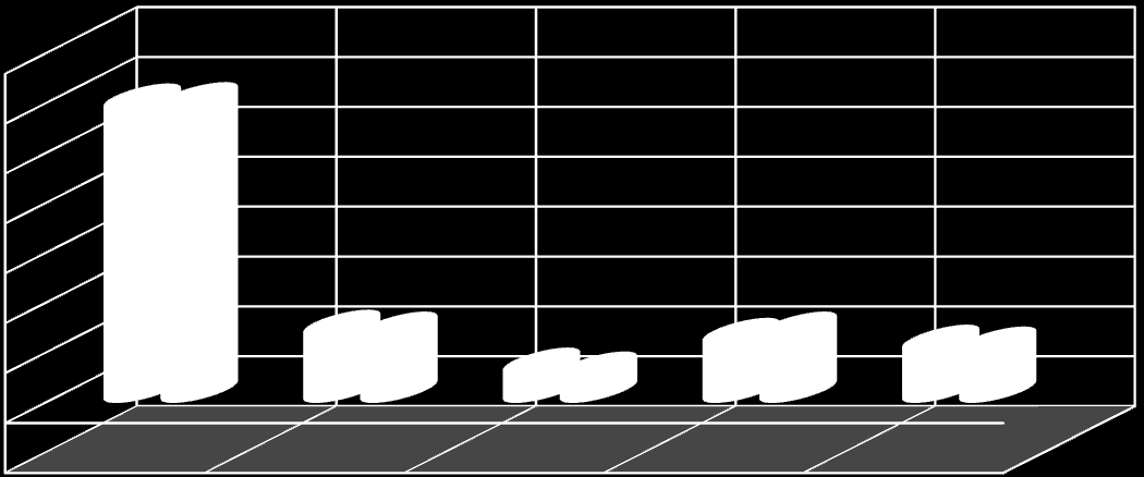 Si riporta di seguito la suddivisione dell organico per settore e per area geografica (i dati del 2012 includono Ansaldo Energia): 30.000 25.000 25.183 23.019 20.000 15.000 13.225 13.050 11.702 11.