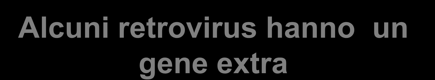 Alcuni retrovirus hanno un gene extra retrovirus tipico R U5