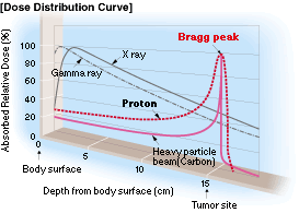 hadron beam that loses energy in matter tumour target X rays Photons protons or Protons