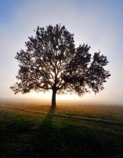 1. L azienda EnviCons Srl è una società di consulenza con sede a Torino specializzata in ingegneria ambientale e agro-forestale e nello studio e nella realizzazione di progetti nei settori delle