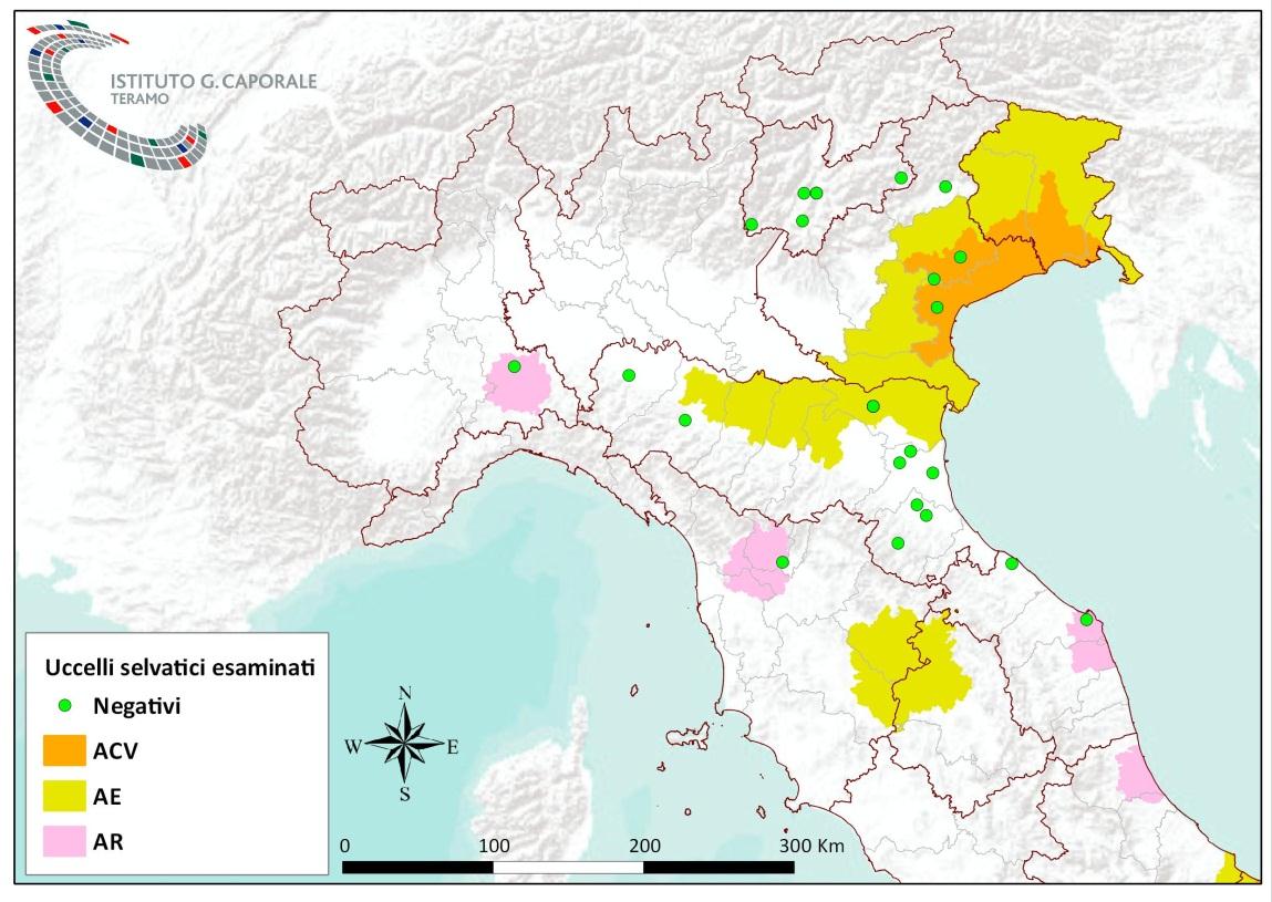 Sorveglianza sulla mortalità negli uccelli selvatici La sorveglianza sulla mortalità negli uccelli selvatici si effettua su tutto il territorio nazionale.