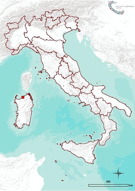 Situazione epidemiologica negli animali Ad oggi, 19/07/2012, è stato confermato dal Centro di Referenza Nazionale per lo Studio delle Malattie Esotiche (CESME) il primo