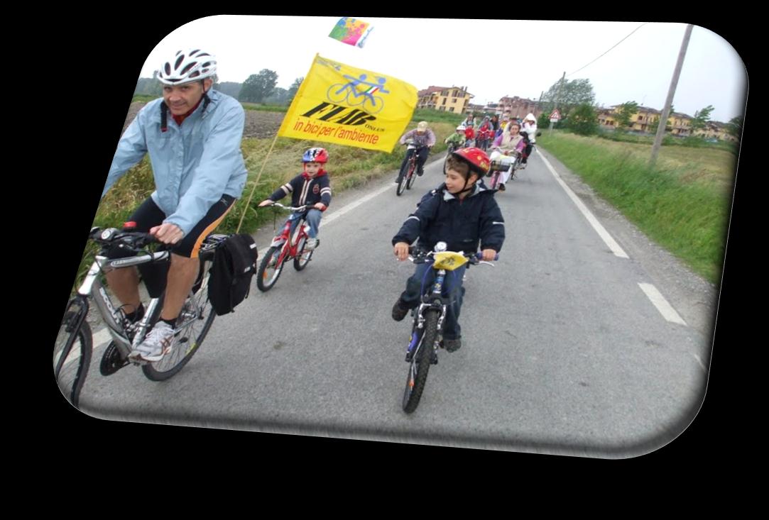 È utile montare sulla bicicletta una bacchetta con una bandierina sia in testa che in coda: è il modo più