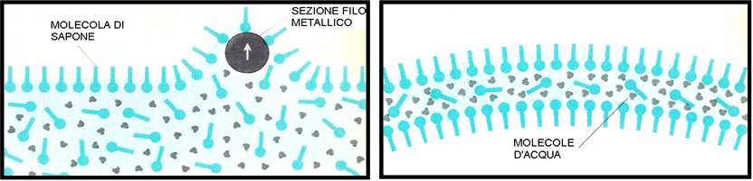 9 che la lamina si forma dapprima vicino al cerchio e mano a mano che si tira fuori il telaio si forma una specie di conca sempre più grande che alla fine si va a staccare completamente dal liquido