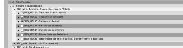 categorie di «B Sistemi di Qualificazione» cliccando sul simbolo