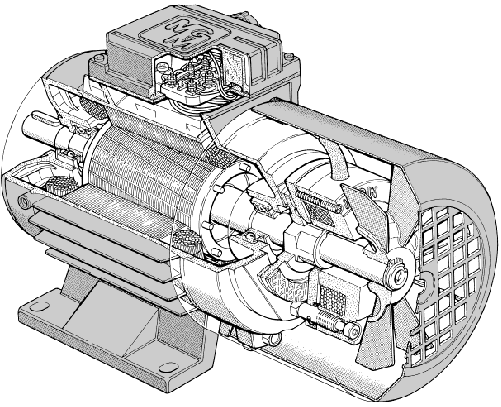 caratteristiche generali serie BM La serie BM è costituita da motori asincroni trifase autofrenanti con freno funzionante in corrente continua e altezza d asse compresa tra 63 mm e 0 mm.