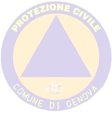 urgentemente, se del caso, ma sono di utilità per favorire il coordinamento dei soccorsi qualora necessario e permettono la sintesi del quadro emergenziale in fase di evento a livello regionale.