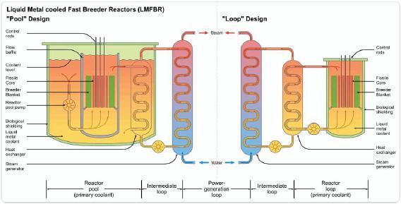 Reattori nucleari autofertilizzanti REATTORE VELOCE AUTOFERTILIZZANTE (FBR) Reattori PRIVI DI UN MODERATORE