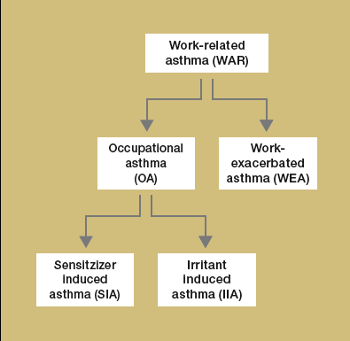 - 2 - Figura 1 Classificazione delle diverse forme di asma associata al posto di lavoro Il presente Factsheet tratta esclusivamente la forma "SIA" di asma professionale.