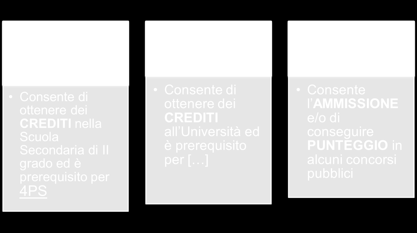 il Pc non soltanto come strumento fine a sé stesso ma come mezzo per risolvere problemi nelle varie discipline.