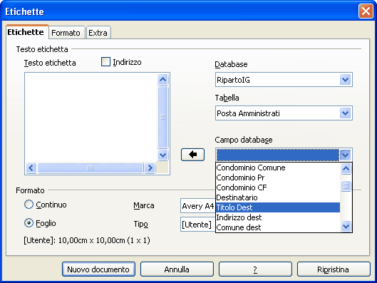 324 Conoscere RipartoIG - manuale d'uso Testo etichetta Nel riquadro per il testo dell etichetta è possibile digitare frasi come Egr. Sig. unitamente ai dati delle variabili provenienti da RipartoIG.