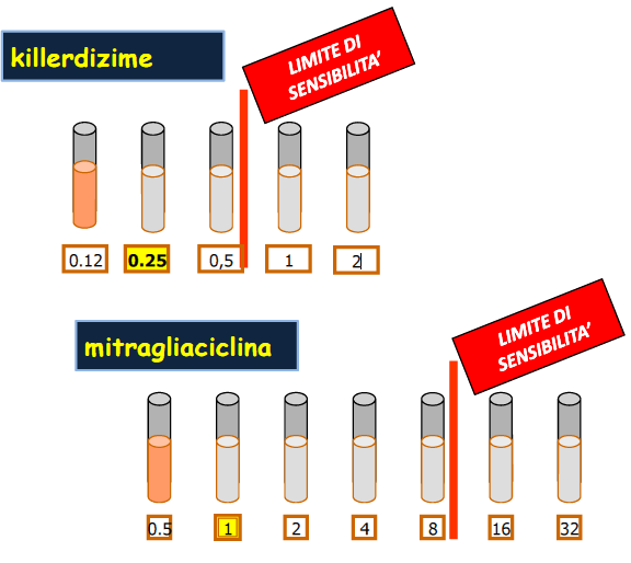 Interpretazione critica dell antibiogramma: MBQ Antibiotico X Antibiotico Y MIC antibiotico X = 0.