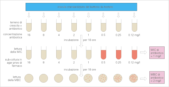 Interpretazione critica dell antibiogramma: Attività battericida: MBC E necessario considerare la attività battericida di un antibiotico, SOPRATTUTTO in questi casi particolari: infezioni gravi: