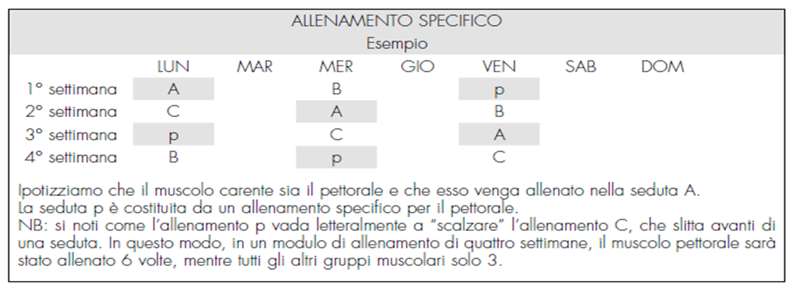 ESEMPIO ALLENAMENTO SPECIFICO PER I PETTORALI È importante che gli allenamenti specifici non siano effettuati vicino agli allenamenti che comprendono lo