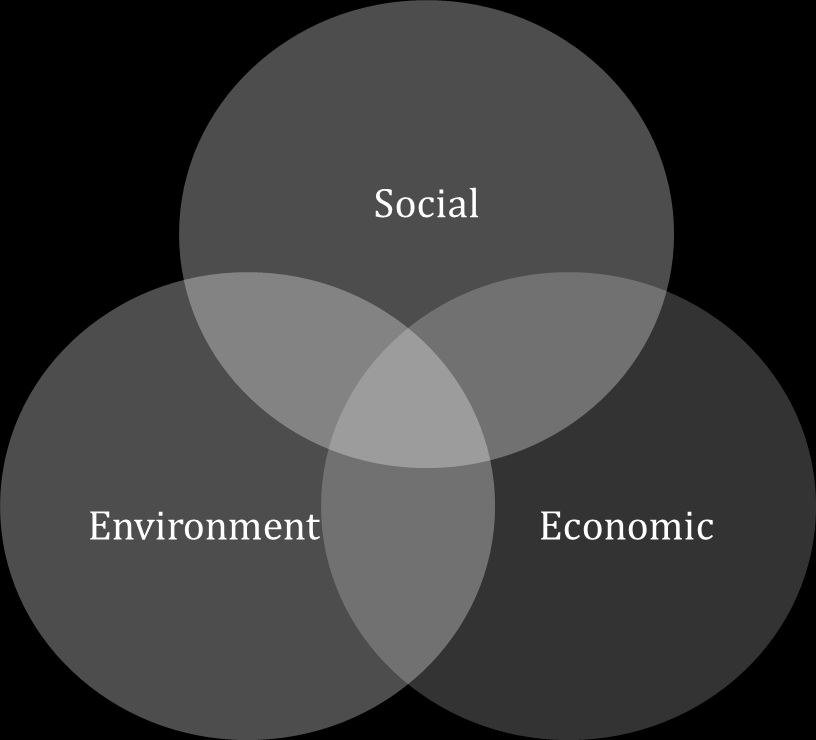 Figura 3 - Triple Bottom Line In risposta alle esigenze di pratiche sostenibili avvertite dalle organizzazioni, l International Organization for Standardization, nel 2004, ha sviluppato alcuni