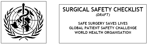Consuelo Basili Safe Surgery Saves Lives 2 Global Patient Safety Challenge Safe Surgery Saves Lives migliorare la sicurezza delle cure