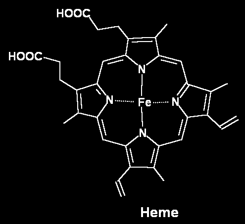 aminoacidici Proteine