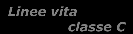 Linee vita classe C Morsetti e redance in