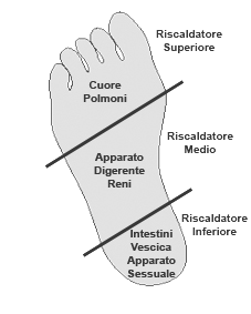 Si userà normalmente il ciclo di Generazione, poiché esso consente il corretto ed armonioso flusso di Qi e Xue, quindi è il trattamento più adeguato per tonificare un deficit, sbloccare una stasi,