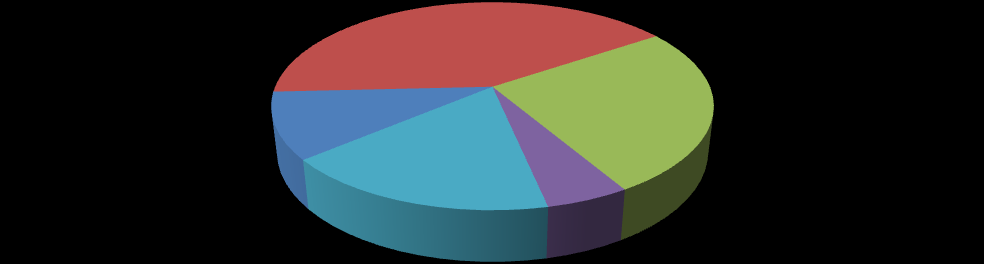 CAPITOLO 6. I questionari Sentirsi utile per persone incontrate nel Laboratorio 41,38% Per niente 10,34% 17,24% 5,17% 25,86% Poco Abbastanza Molto N.R.