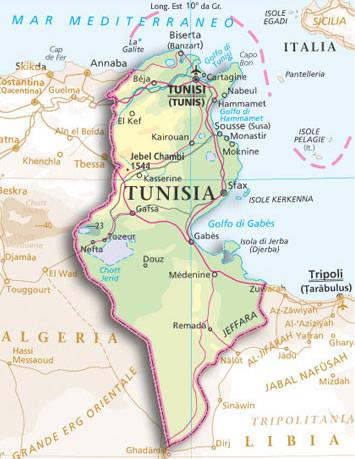 chi per la prima volta si affaccia al mercato tunisino, mentre, grazie alla lunga esperienza e alla approfondita conoscenza dell ambiente e del mercato locale dei colleghi tunisini, siamo in grado di