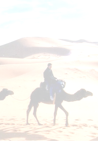 GRAN TOUR DEL MAROCCO Souk, Medine e Deserto Durata e data: 11 Giorni con partenza venerdì 30 maggio: Marocco Imperiale, Marocco Andaluso, Deserto del Sahara Trattamento di pensione completa in hotel