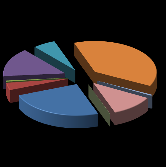 figura 1-2 _ distribuzione percentuale delle classi di uso del suolo nel comune di Besozzo (fonte: elaborazione da carta DUSAF ERSAF 28) Ambiti residenziali 6% 38% Ambiti produttivi 15% Cantieri e