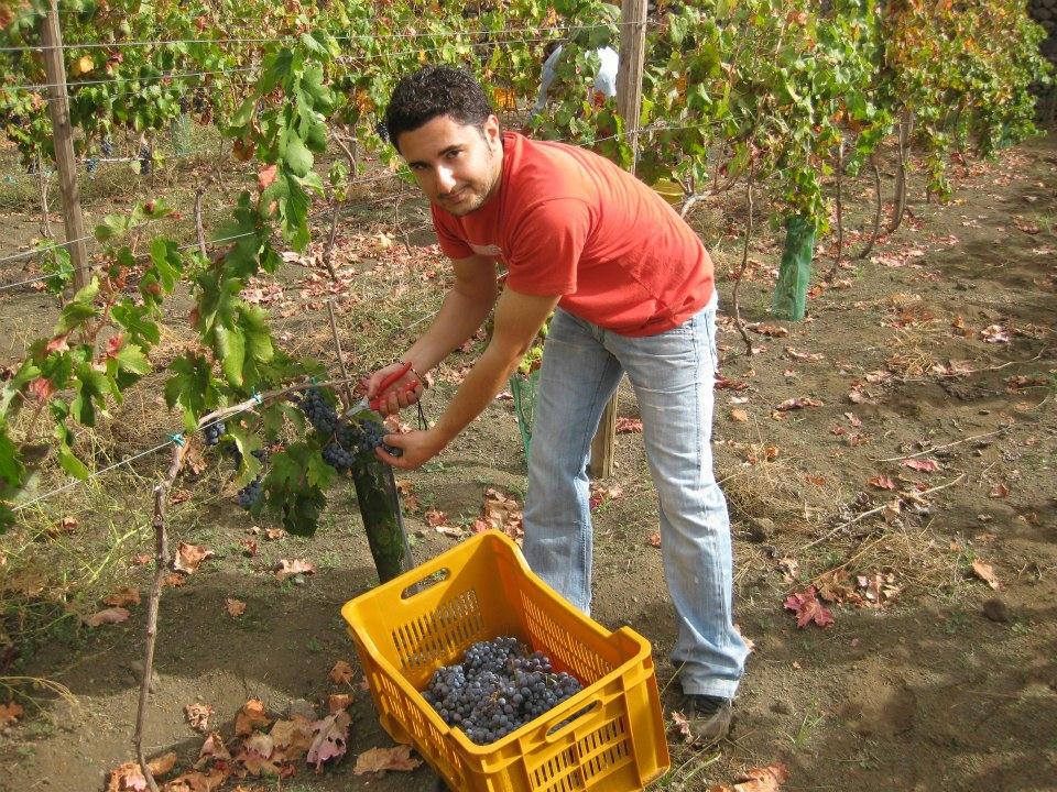 Oggi AGRICOLTURA significa imprenditoria, tecnologia d avanguardia e qualità della vita: ecco perché c è sempre più bisogno di tecnici, di