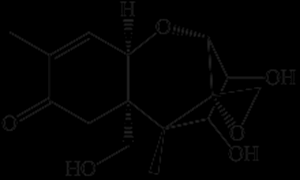 1.3.5 DEOSSINIVALENOLO Figura 11 :struttura chimica del deossinivalenolo Il DON o vomitossina fa parte del gruppo dei tricoteni ed è prodotta da alcune specie di Fusarium (F.graminearum, F.culmorum).