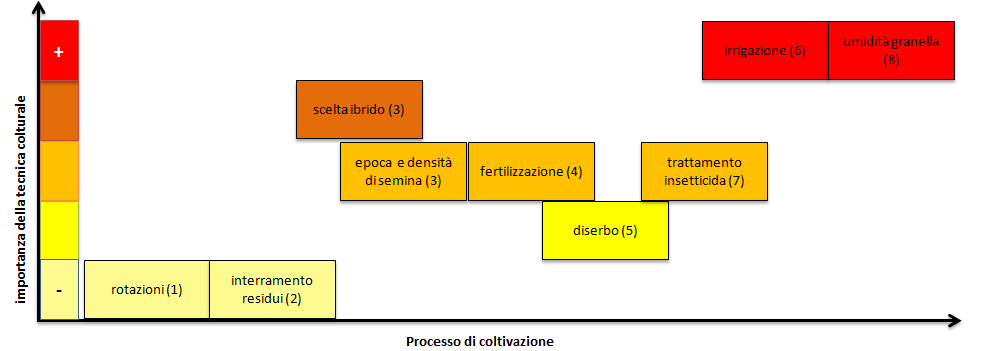 Nelle figure 1 e 2 viene riportato un quadro riassuntivo delle varie fasi della tecnica colturale, seguita comunemente per il mais, con la relativa importanza per quanto riguarda il rischio di