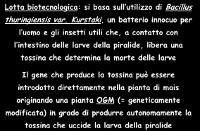 Lotta chimica: necessario attaccare le larve quando sono ancora fuori dallo stocco Clorpyrifos: è un FOSFORGANICO, agisce per contatto, ingestione, asfissia, abbastanza persistente nel terreno, meno